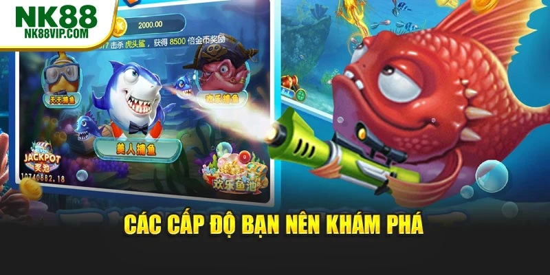 Các cấp độ bạn nên khám phá