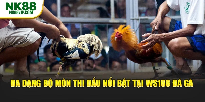 Đa dạng bộ môn thi đấu nổi bật tại Ws168 đá gà