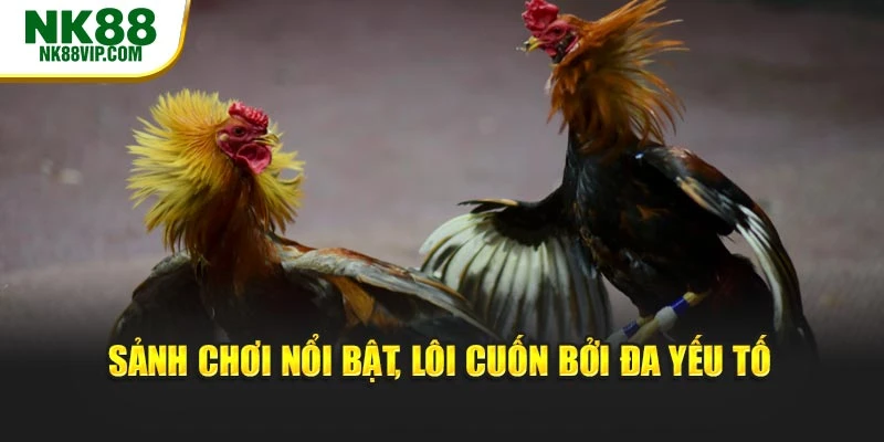 Sảnh chơi nổi bật, lôi cuốn bởi đa yếu tố